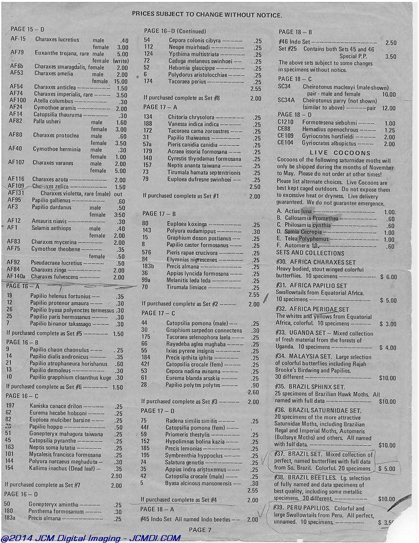 The Butterfly Company (NY) 18 page catalog 1976